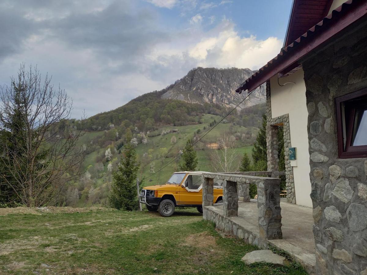 Cabana Belvedere Dragoslavele Villa Exterior photo